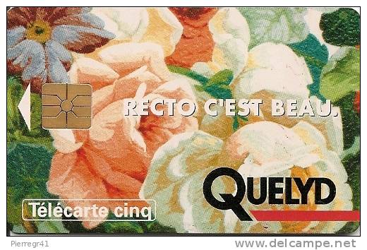 CARTE-PRIVEE-5U-GN-05a-GE M-  2e Logo-11/93-QUELYD- UTILISE--TBE-LUXE - 5 Unités