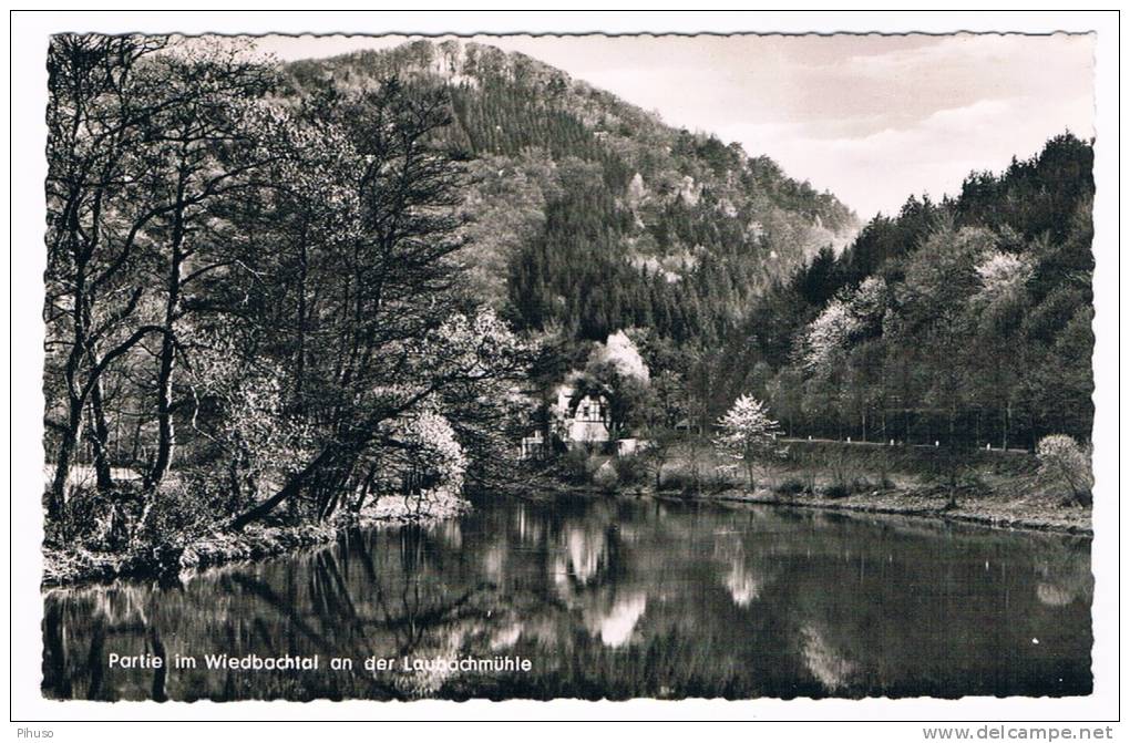 D2390     WIEDBACHTAL : An Der Laubachmühle - Neuwied