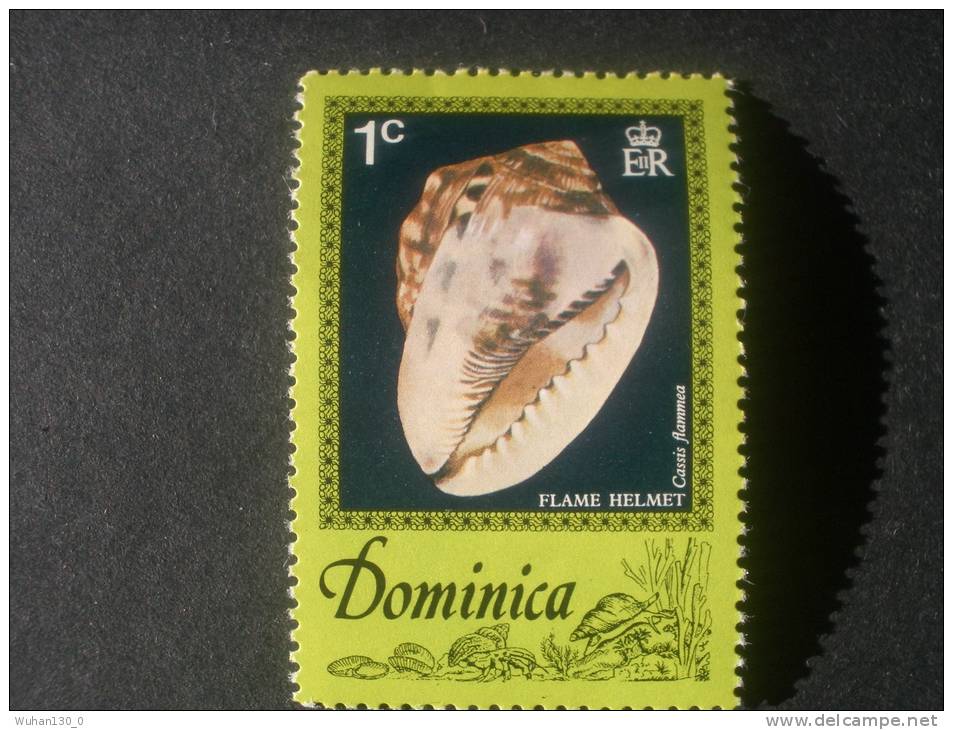DOMINIQUE   *  *   De  1976   "  Coquillages  Des  CARAIBES   "     1  Val . - Dominica (1978-...)