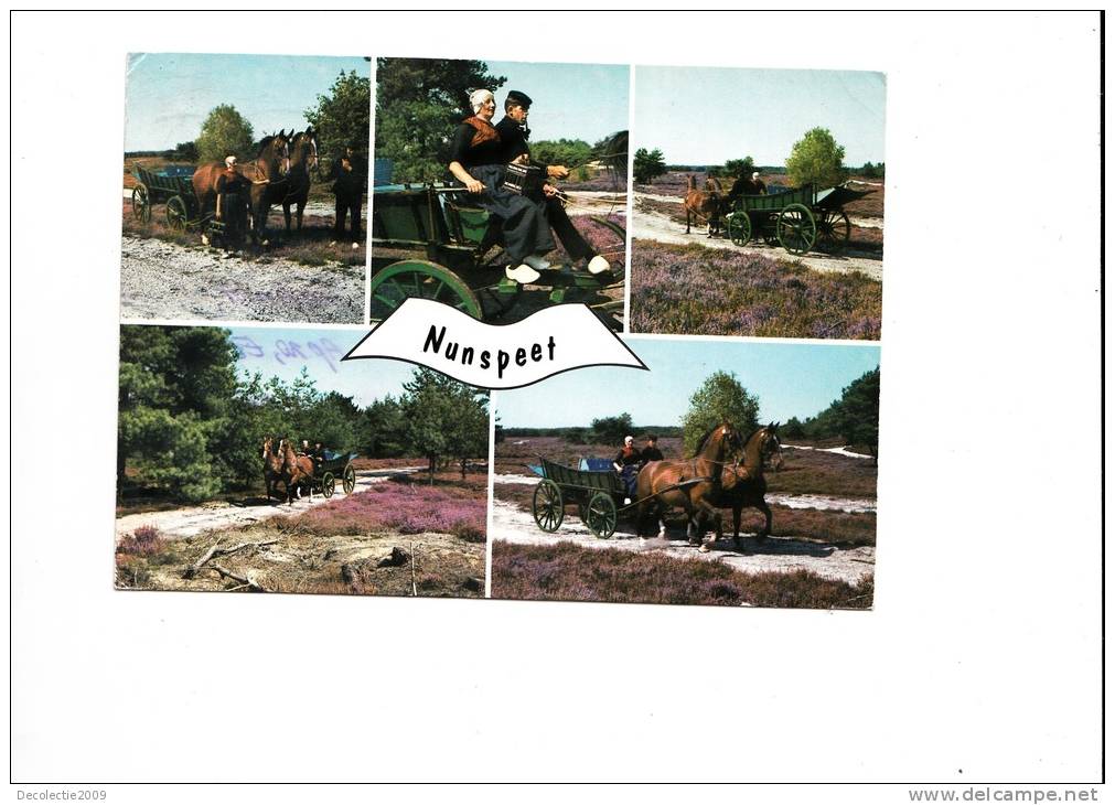 B48149 Nunspeet Horses With Carriage Chevaux Avec Charets Multiviews Used Good Shape - Nunspeet