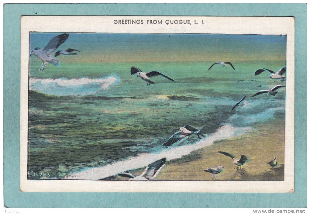 GREETINGS  FROM QUOGUE  -  BELLE CARTE  - - Long Island