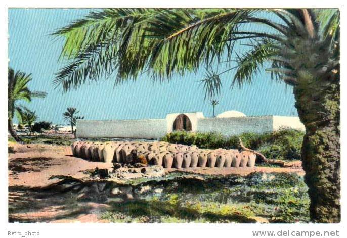 Cpsm Tunisie, Djerba, Guellala ( Poterie ) - Tunisie