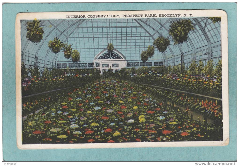 INTERIOR  CONSERVATORY . PROSPECT  PARK  .  BROOKLYN.    N. Y.   - ( Trace Pliure Déchirure Angle Bas Gauche ) - Parchi & Giardini