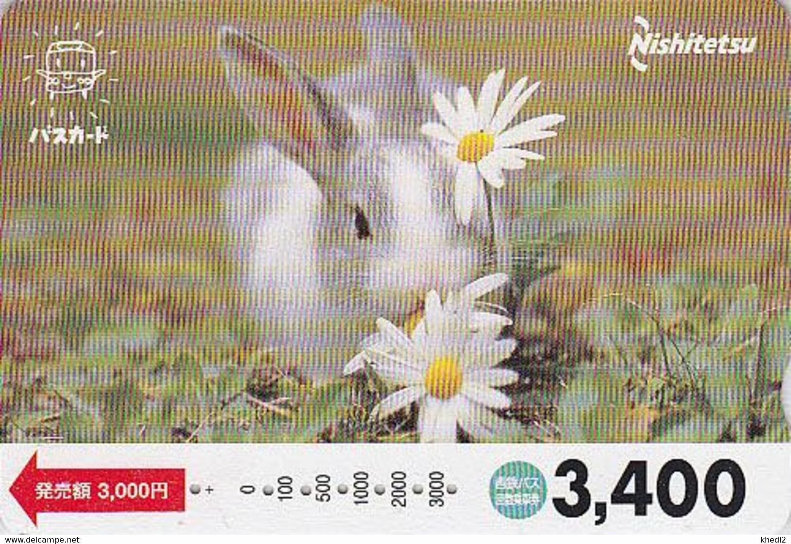 Carte Prépayée JAPON - ANIMAL - LAPIN & Fleur Marguerite 1100 - RABBIT JAPAN Prepaid Bus Card - Nishi - 70 - Conejos