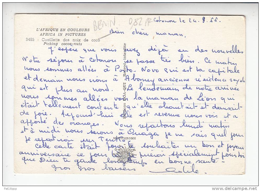 AFRIQUE (AFRICA) - BENIN (ex DAHOMEY AOF) ,  Cuillette Des Noix De Coco - CPSM (postée 1966) N° 3465 Picking Cocoa-nuts - Benin