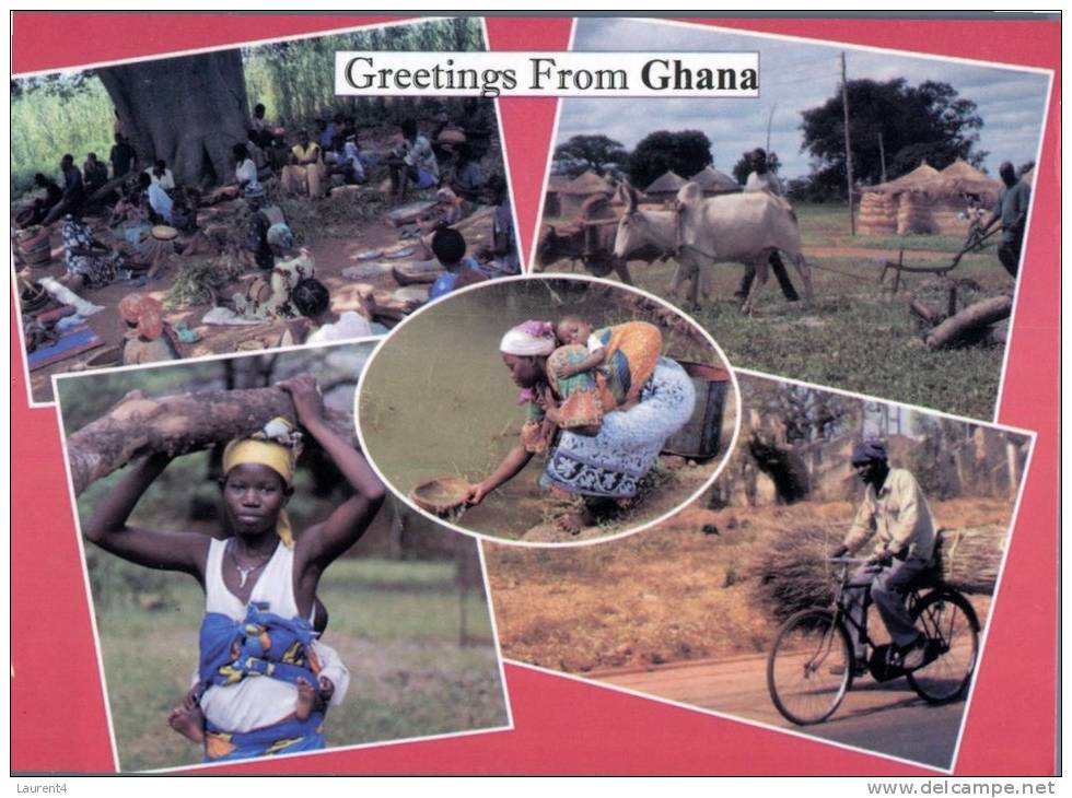 (405) Ghana - Afrique - Greetings From Ghana, Peoples, Cow, Bicycle - Ghana - Gold Coast