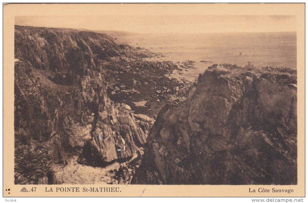 Cp , 29 , LA POINTE St-MATHIEU , La Côte Sauvage - Plougonvelin