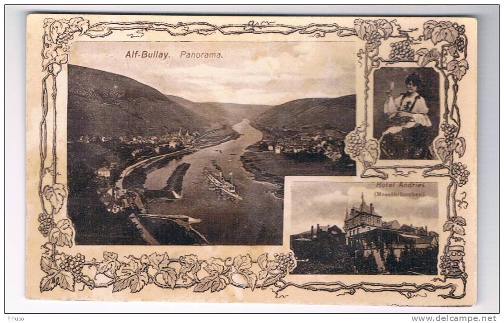 D2463    ALF-BULAY : Panorama - Alf-Bullay