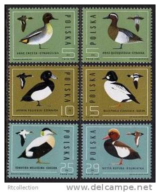 Polska Poland 1985 Wild Ducks Duck Birds Bird Animal Animals Fauna MNH Michel 2998-3003 SC#2698-3703 - Ducks