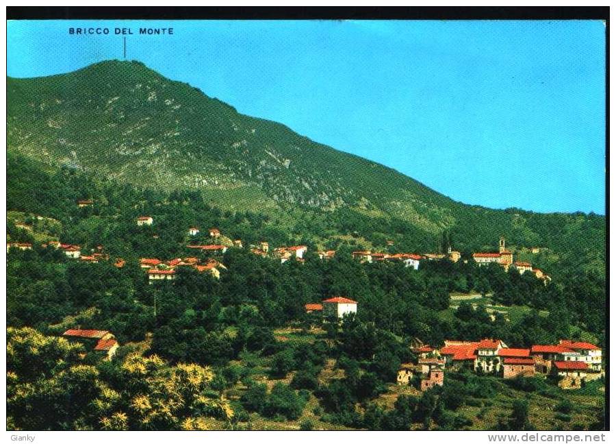 Viola - Panorama, Riviera Del Sole - V 1971 - Cuneo