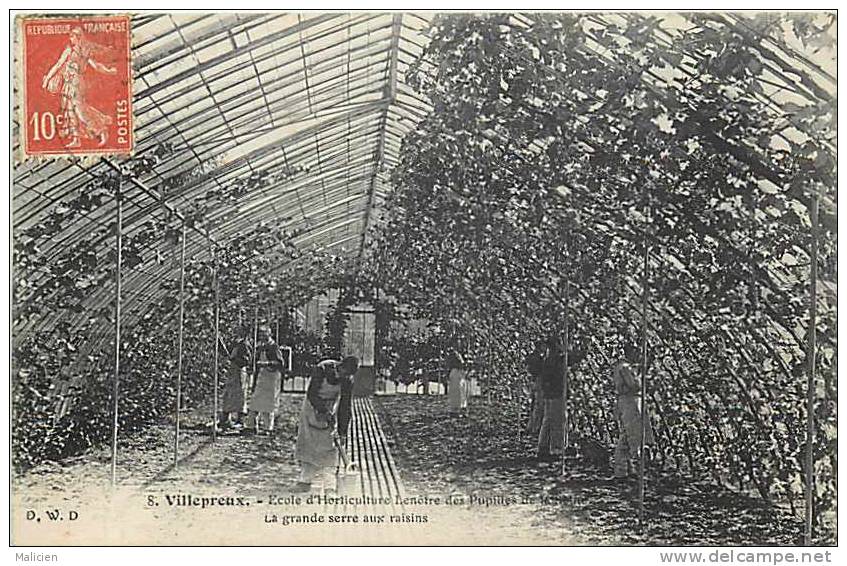 Yvelines - Ref B398- Villepreux - Ecole D Horticulture Lenotre Des Pupilles De La Seine -grande Serre Aux Raisins - - Villepreux