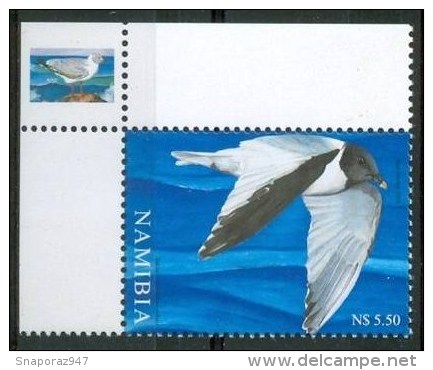 2006 Namibia Uccelli Birds Vogel Oiseaux  Set MNH**B173 - Namibia (1990- ...)