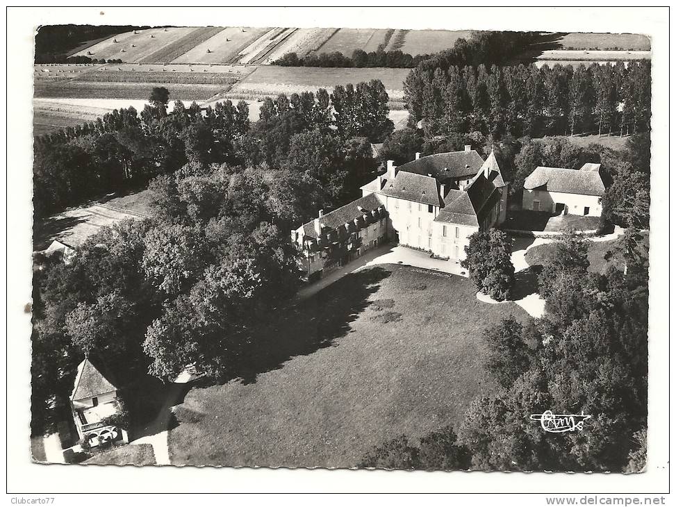 Brangues (38) : Vue Aérienne Au Niveau Du Château  En 1963 PHOTO VERITABLE. - Brangues