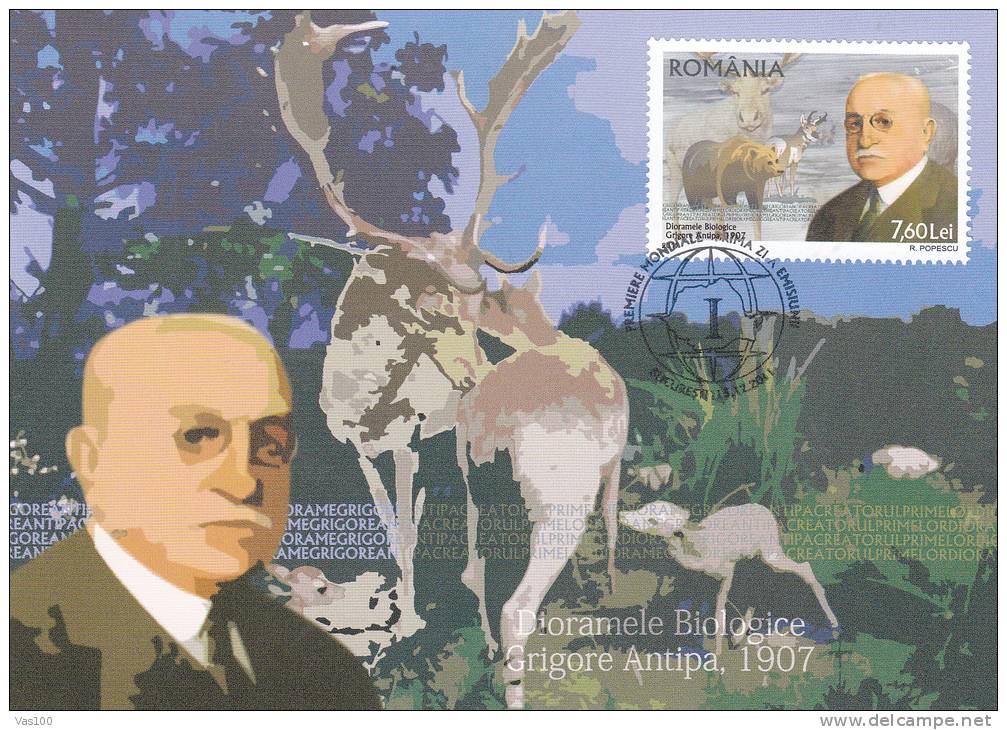 BEARS OURS,BIOLOGICAL GRIGORE ANTIPA 2011,CM,MAXICARD,CARTES MAXIMUM ROMANIA.. - Bären