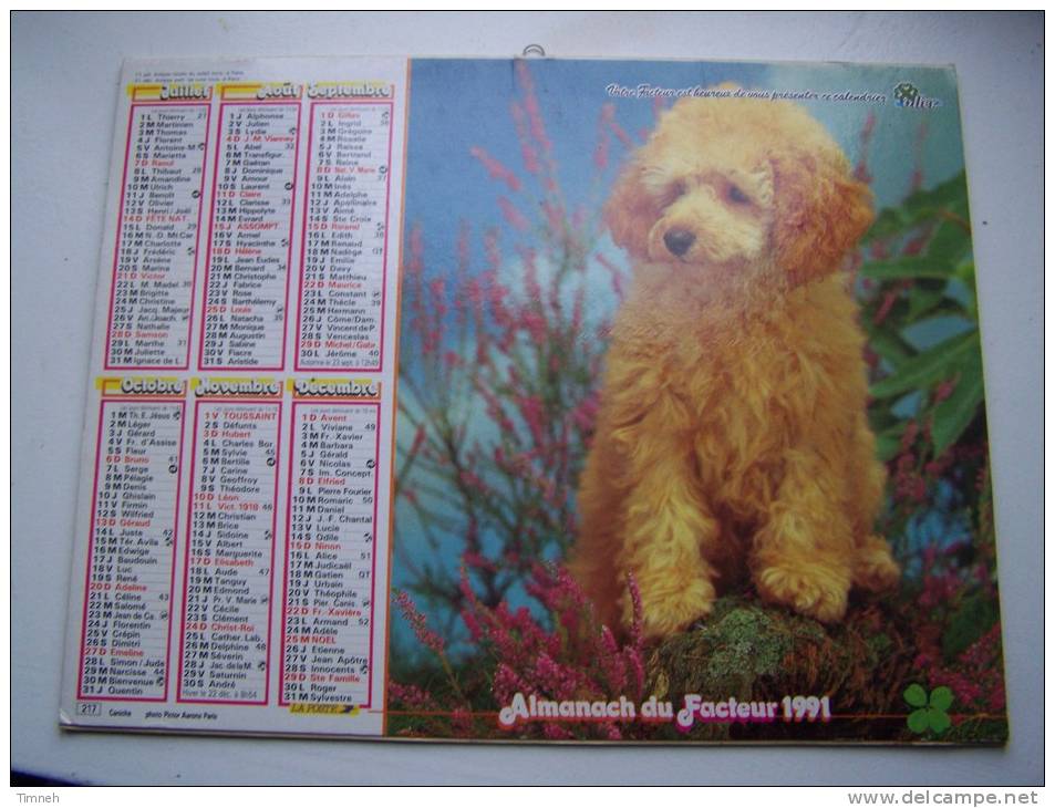 Almanach Du Facteur 1991 - Caniche Chats- MEURTHE ET MOSELLE  N°54 - OLLER - Small : 1981-90