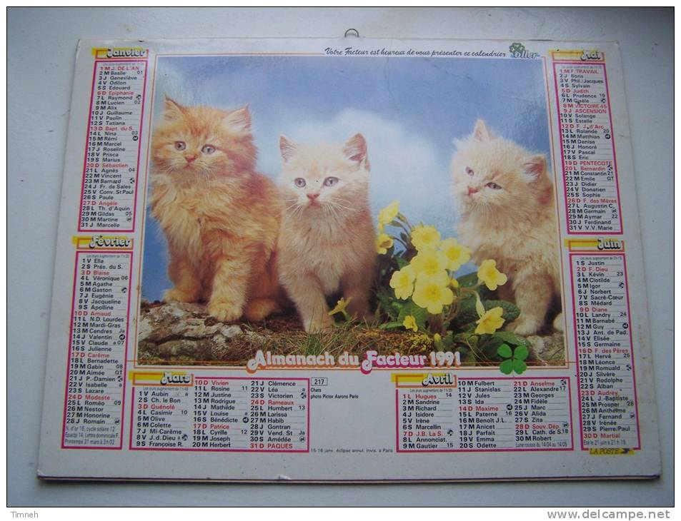 Almanach Du Facteur 1991 - Caniche Chats- MEURTHE ET MOSELLE  N°54 - OLLER - Small : 1981-90