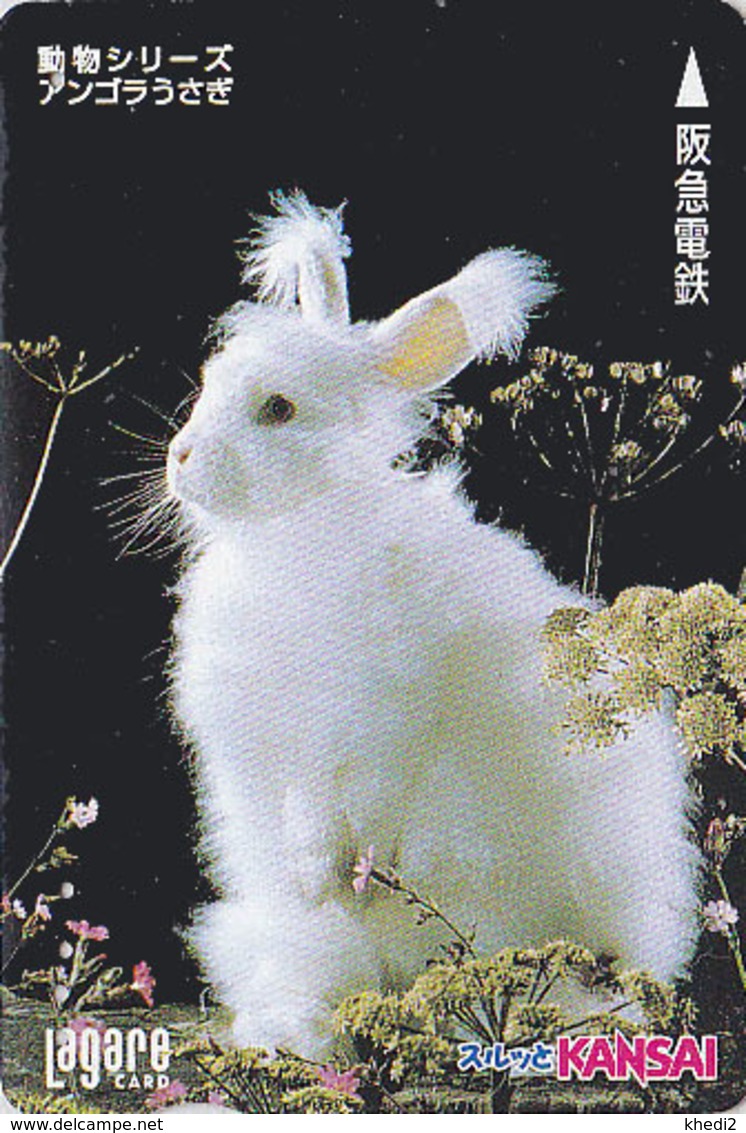 Carte Prépayée JAPON - ANIMAL- LAPIN Angora - RABBIT - KANINCHEN - KONIJN - CONEJO JAPAN Lagare Card - 152 - Conejos