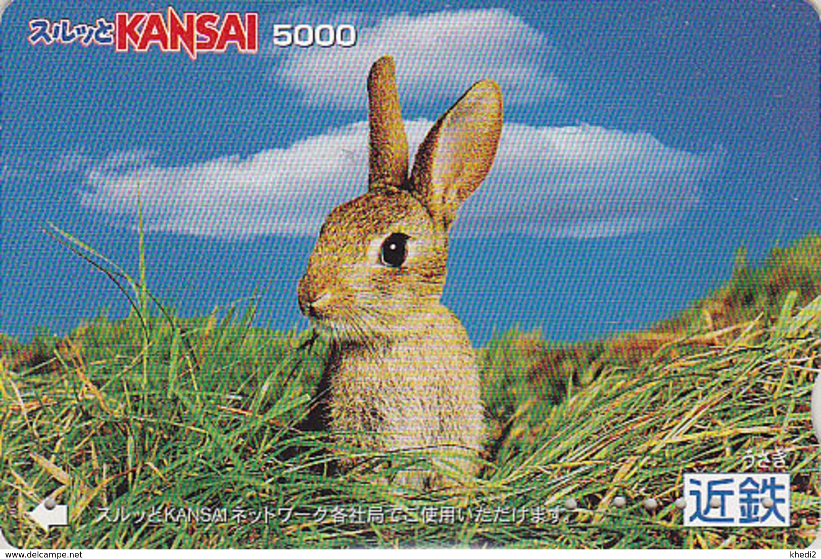 Carte Prépayée JAPON - ANIMAL - LAPIN - RABBIT - KANINCHEN - KONIJN - CONEJO JAPAN Prepaid Lagare Card - 165 - Conejos