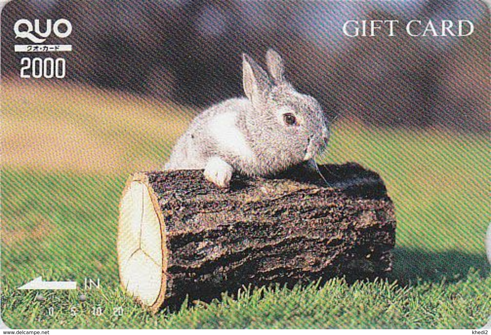 Carte Prépayée JAPON - ANIMAL - LAPIN Sur Une Bûche - RABBIT JAPAN Prepaid Quo Card - KANINCHEN HASE - CONEJO - 178 - Conejos