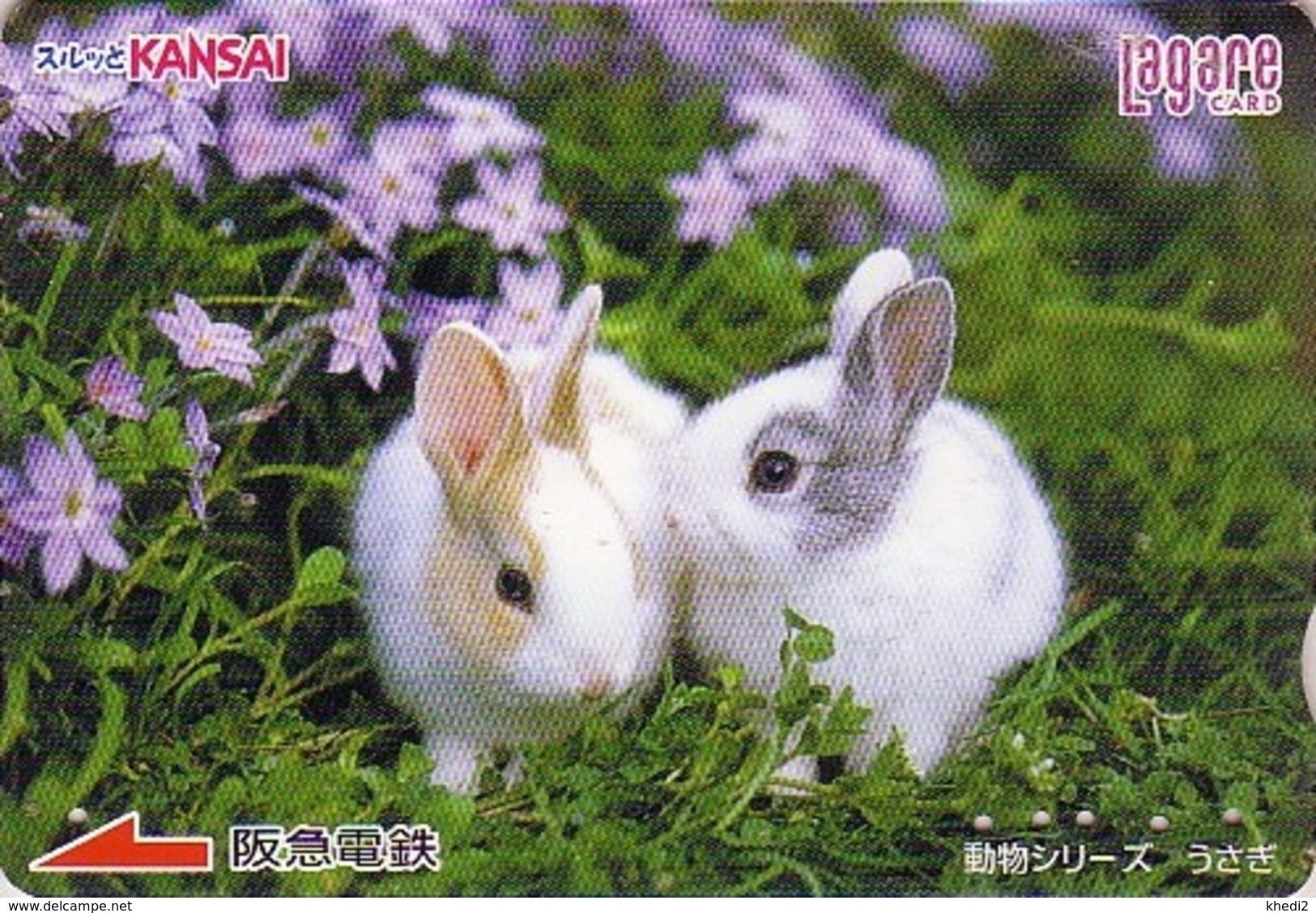 Carte JAPON - ANIMAL - LAPIN & Fleurs Violettes - RABBIT - KANINCHEN - KONIJN - CONEJO JAPAN Lagare Card - 223 - Konijnen