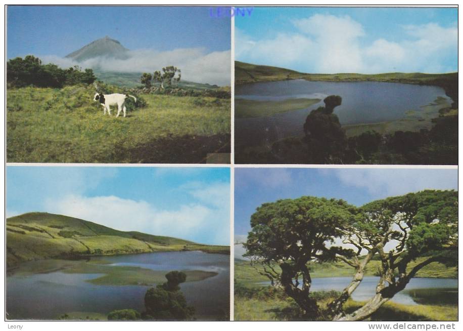 CPM Du PORTUGAL - ACORES - La Montagne Entre Les Lagunes - édit DA FOTO JOVIAL - Açores