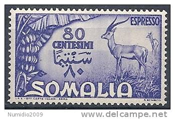 1950 SOMALIA AFIS SOGGETTI AFRICANI ESPRESSO 80 CENT MNH ** - RR9758 - Somalia (AFIS)