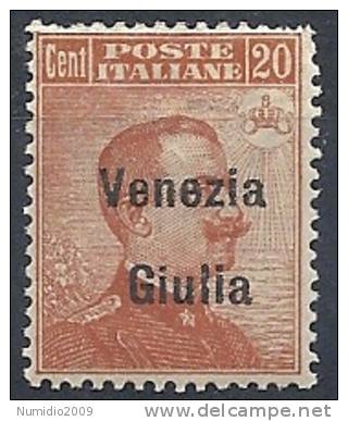 1918-19 VENEZIA GIULIA EFFIGIE 20 CENT MNH ** - RR9764 - Vénétie Julienne