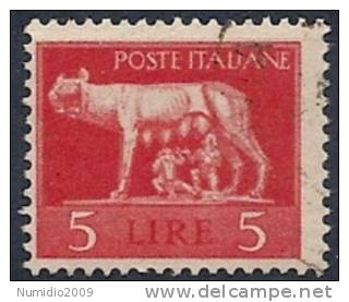 1945 LUOGOTENENZA USATO EMISSIONE DI ROMA 5 £ FILIGRANA RUOTA - RR9773 - Used