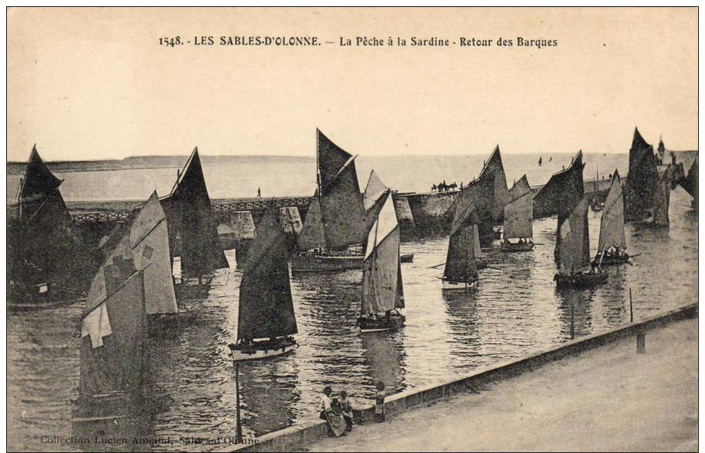 Sables D´Olonne - La Pêche A La Sardine - Retour Des Barques - Sables D'Olonne