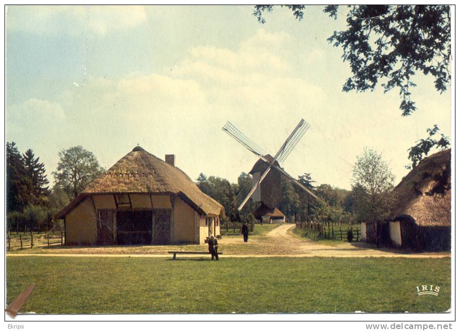 57 - Domein Bokrijk Openluchtmuseum - Vorselaar