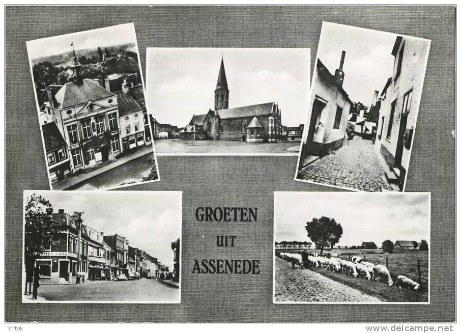 Assenede  :  Groeten Uit  ( Groot Formaat ) - Assenede