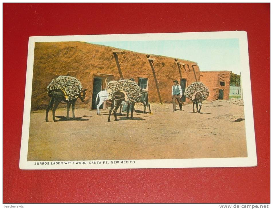 Santa Fe  - Burros Laden With Wood - ( 2 Scans ) - Santa Fe