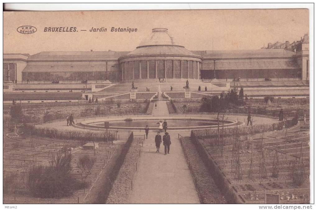 23-Bruxelles-Belgio-Belge-Belgique-Jardin Botanique-Tema: Botanica-Giardini-Nuova-Primi 900 - Foreste, Parchi, Giardini