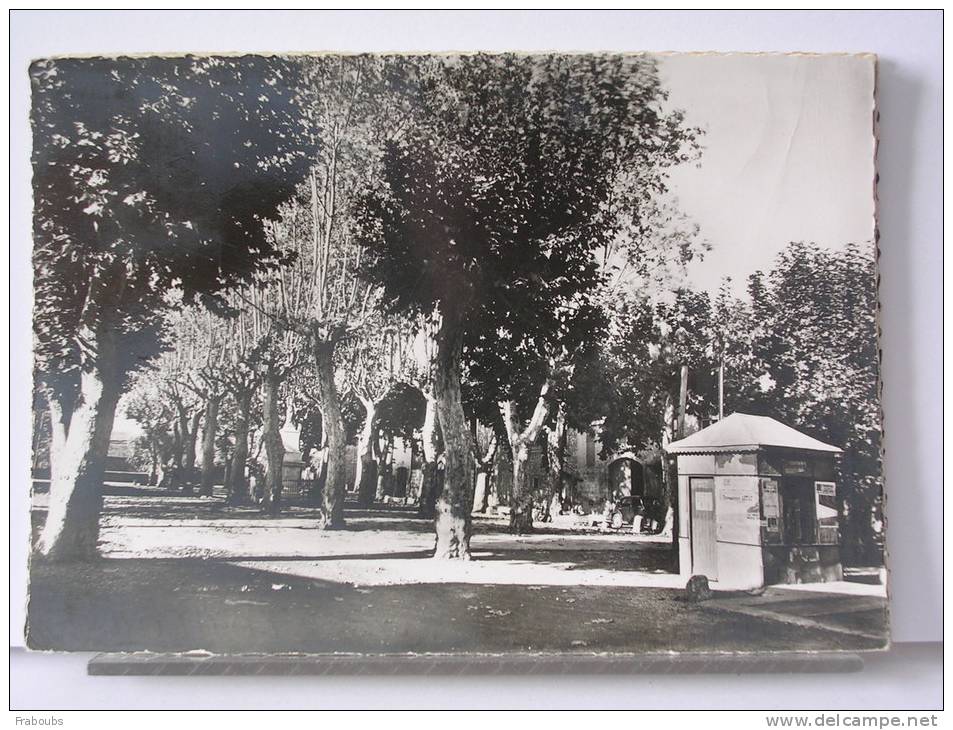 (11) - SALLELES D'AUDE - PLACE D ELA REPUBLIQUE - 1974 - Salleles D'Aude