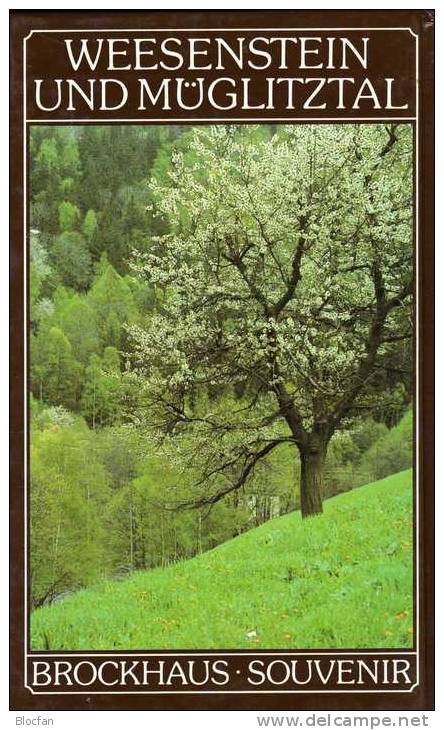 Historische Ansichten Von Weesenstein 1990 Neu 10€ Brockhaus-Souvenir Für Sammler Liebhaber Many Color-pictures Germany - Weesenstein A. D. Müglitz