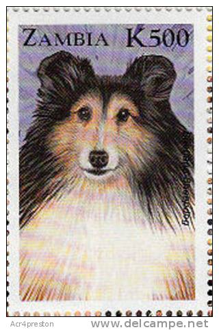 Zm9902 Zambia 1999, Cats And Dogs, K500 - Shetland Sheepdog - Zambia (1965-...)