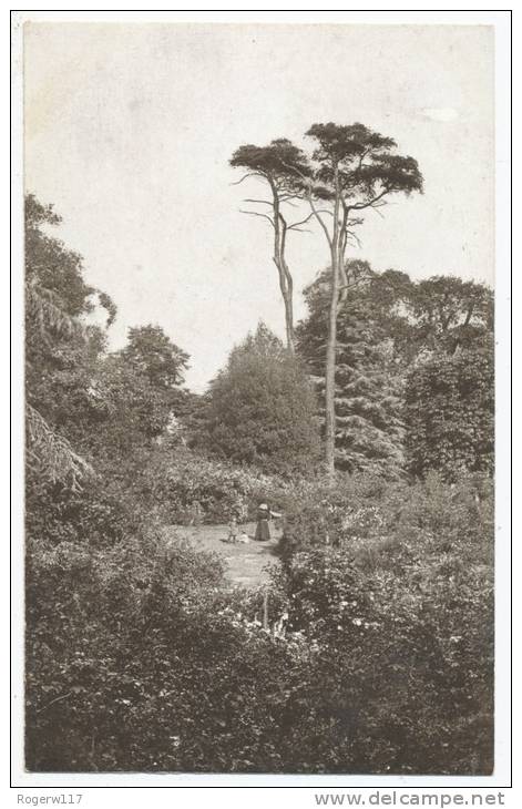 The Rose Garden Near The Pagoda, Kew Gardens - Surrey