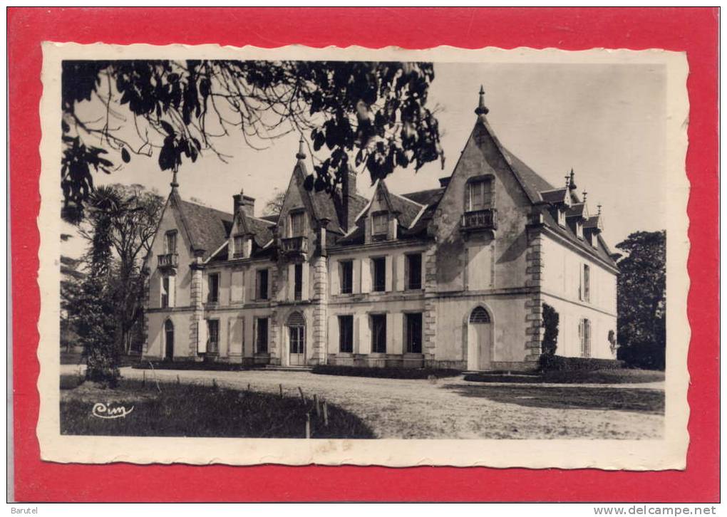 CASTELJALOUX - Le Château De Carnine - Casteljaloux