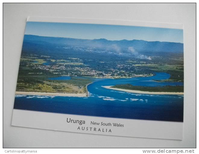 Urunga New South Wales Australia Pellicani In Mare Nel Retro - Autres & Non Classés