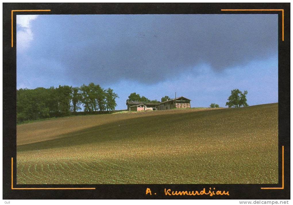 TERRE D´OC-Photo A.Kumurdjian - "Premières Pousses" (Occitanie Culture Occitane Occitan)  *PRIX FIXE - Fotos