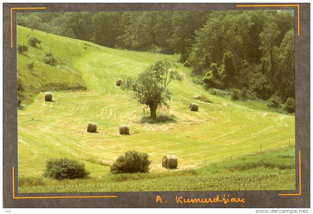 TERRE D´OC-Photo A.Kumurdjian - " Le Gardien Du Pré " (Occitanie Culture Occitane Occitan)  *PRIX FIXE - Foto's