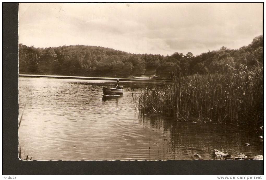 440. Germany, Wolgastsee - Real Photo Postcard - Walter Werner KG - Verlag - Gaschwitz - Wolgast