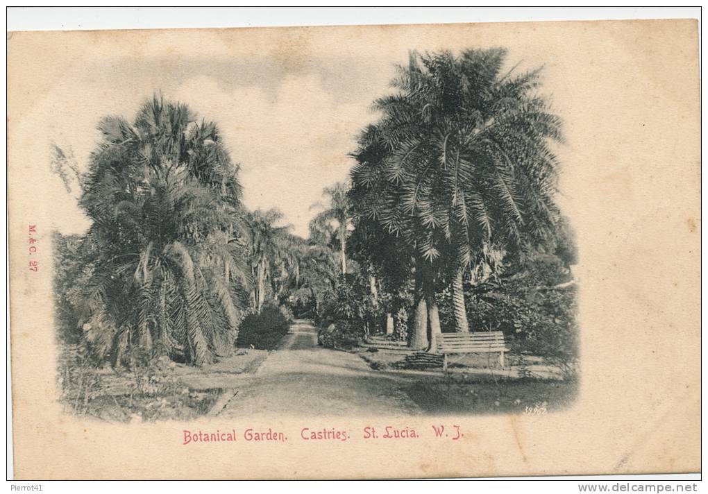 AMERIQUE - ANTILLES - SAINTE LUCIE - Botanical Garden - Castries - St Lucia W.J. - Sainte-Lucie