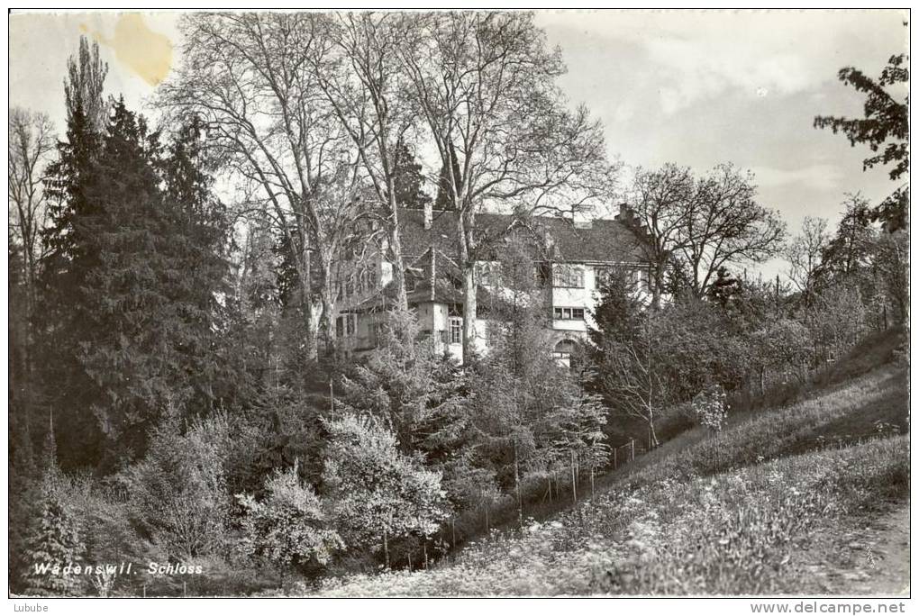 Wädenswil - Das Schloss            Ca. 1950 - Wädenswil