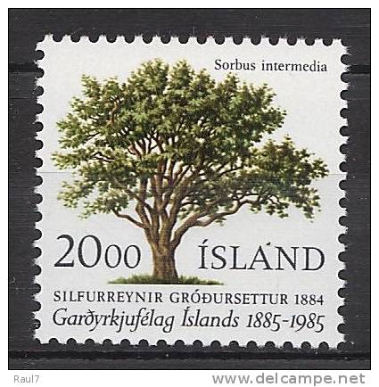 ISLANDE 1985 - Cent Horticulture Islandaise - 1v Neuf ** (MNH) - Autres & Non Classés