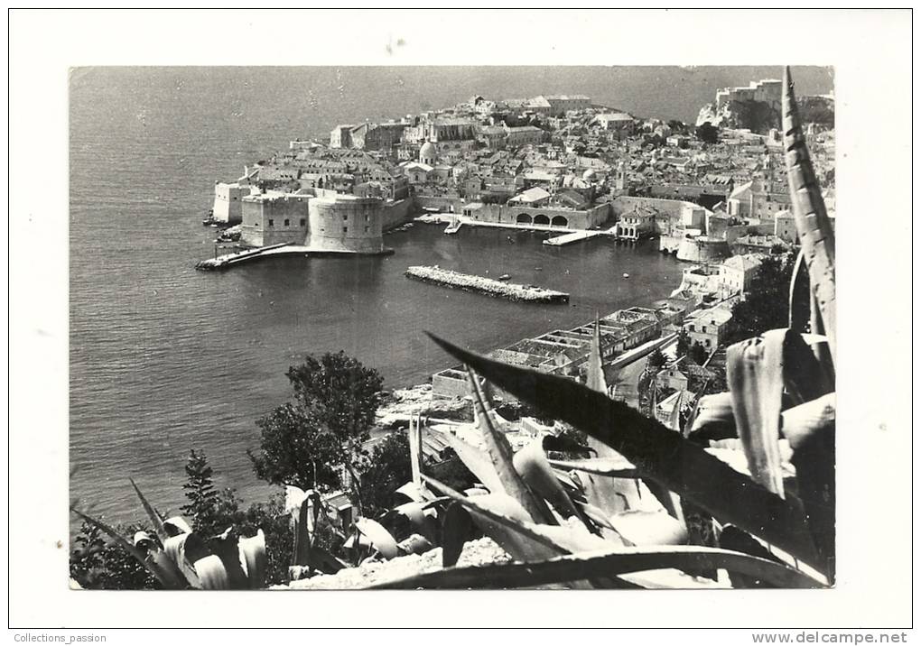 Cp, Croatie, Dubrovnik, Voyagée 1965 - Croatia