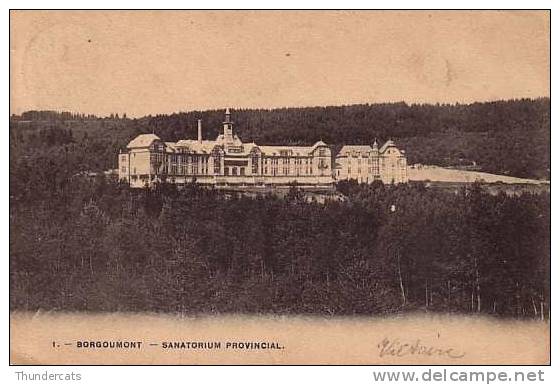 BORGOUMONT SANATORIUM PROVINCIAL - Stoumont