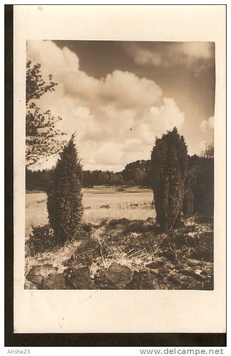 440. Germany, Fischteich Bei Wehlen - Verlag H.v. Appen - Serie 1, Naturschutzpark - Passed Post In 1927 - Wehlen