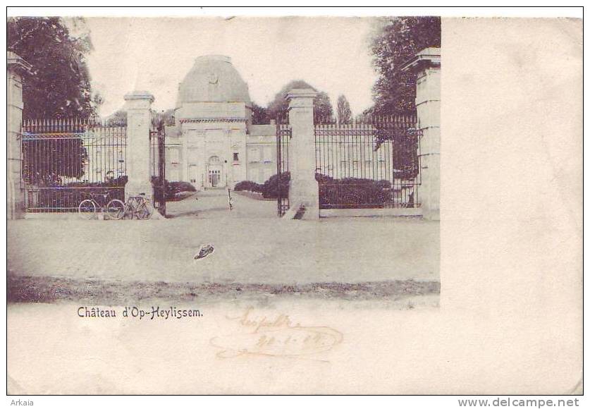 OP-HEYLISSEM = Château  (1904) - Andere & Zonder Classificatie