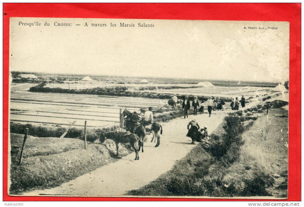 LE CROISIC 1900 LA PRESQU ILE LES MARAIS SALANTS ANE OU MULET CARTE EN MAUVAIS ETAT - Le Croisic